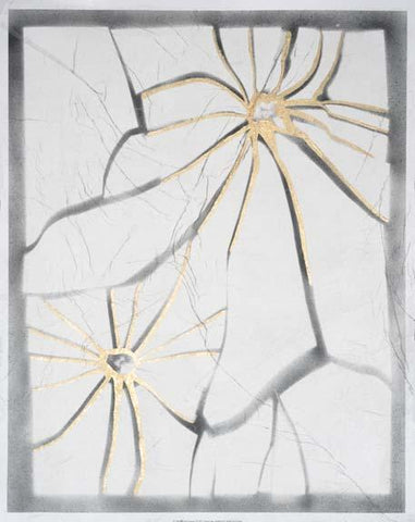 Glass Florets I - The Quality Framing Company & Imaging Services