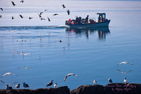 Renard Point Larry Lamb - The Quality Framing Company & Imaging Services