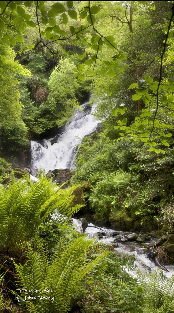 TORC WATERFALL SPRING - The Quality Framing Company & Imaging Services