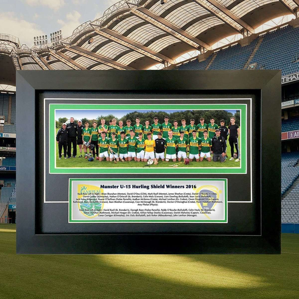 Hurling Team Provincial Winners Team Momento - The Quality Framing Company & Imaging Services