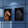 ChromaLuxe® High-Definition Metal Prints (Interior/Exterior) - The Quality Framing Company & Imaging Services