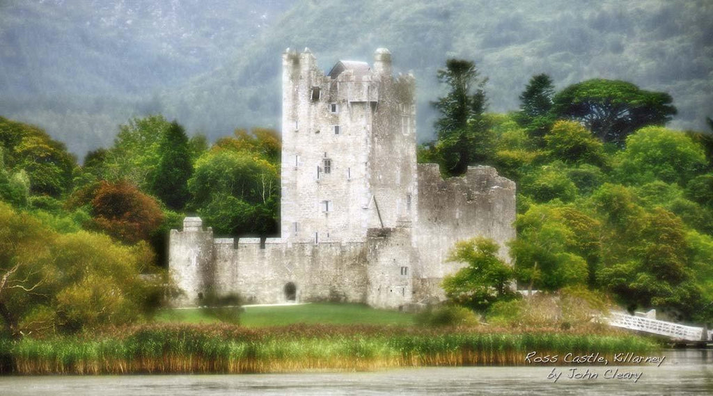 Ross Castle landscape - The Quality Framing Company & Imaging Services