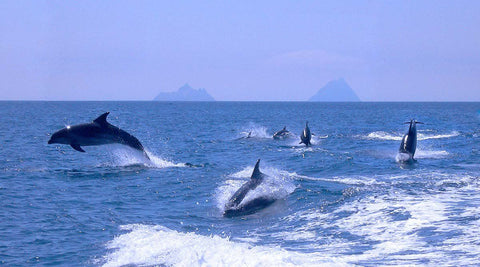 Skelligs school - The Quality Framing Company & Imaging Services